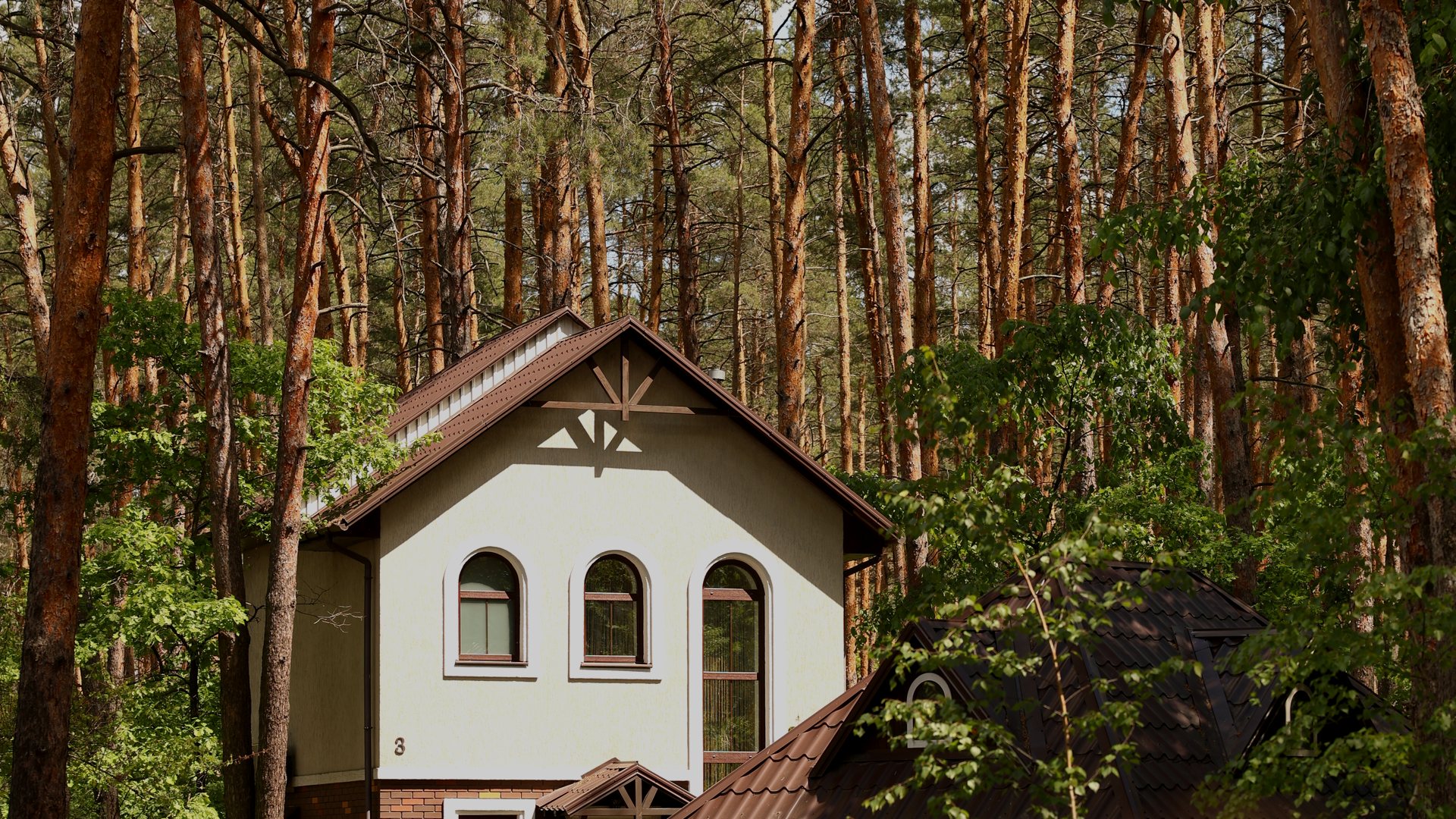 Заміський комплекс Мухомор серед соснового лісу